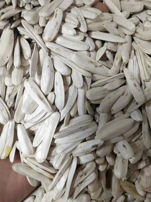 牙簽瓜子，品味生活的雋永滋味